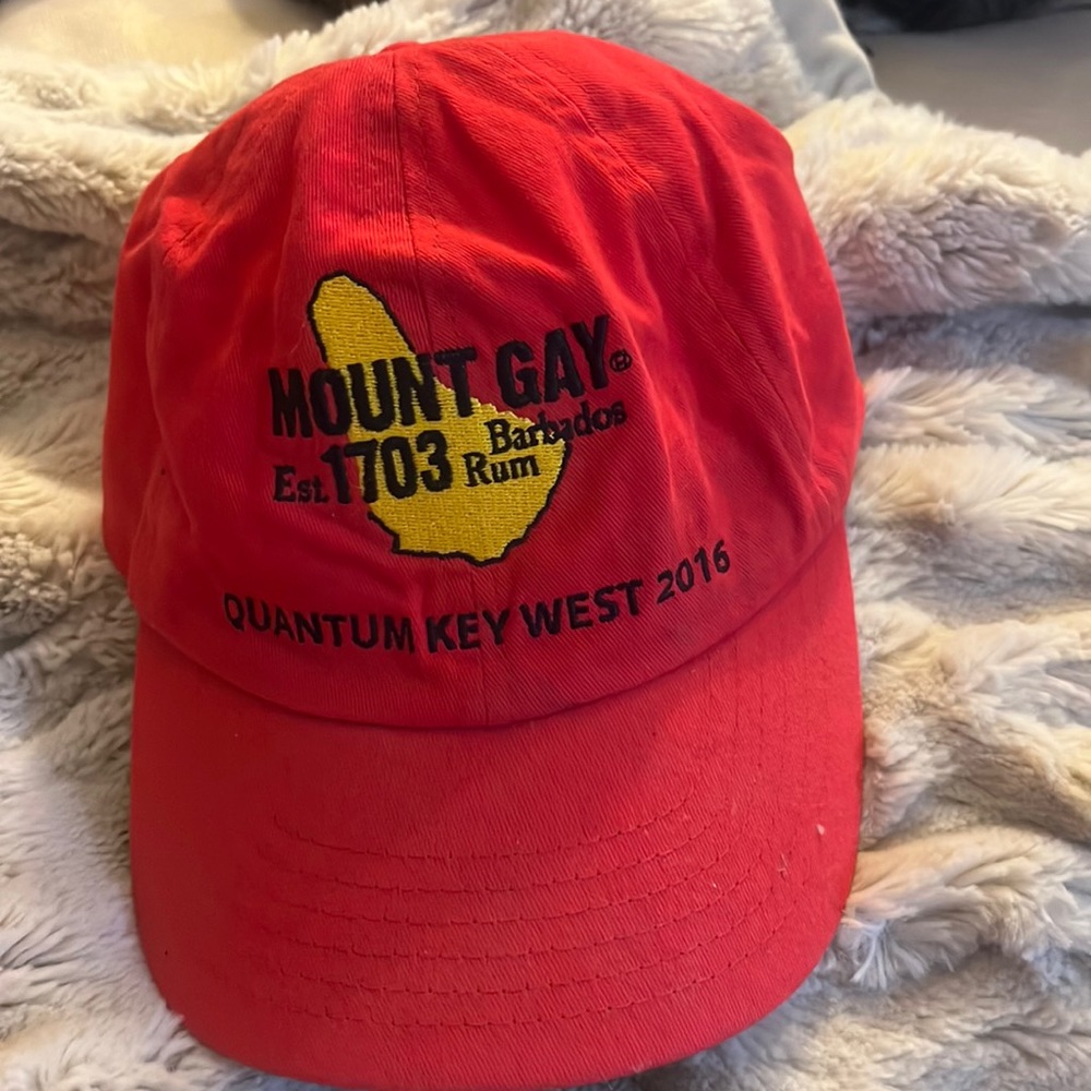 Baseball Hat - image 1